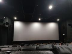 -大光明丽星VIP影城(昌里路杜比全景声店)