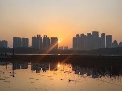 -月湖风景区