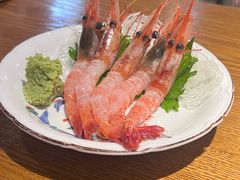 -桂马·日本料理·海胆·海鲜饭·酒场(民主广场店)