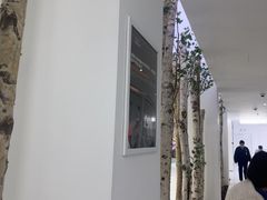 -极简口腔(总院)