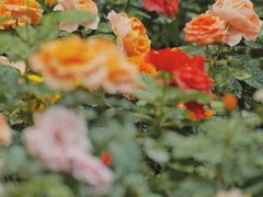 -人民公园(罗湖区)