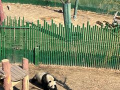 -沈阳森林动物园