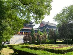 -大槐树寻根祭祖园