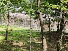 -哈尔滨北方森林动物园