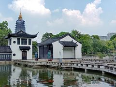 -红梅公园