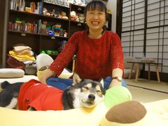 -逗柴咖啡屋·狗咖猫咖宠物桌游