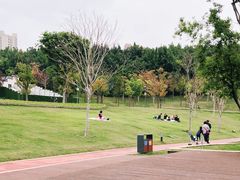 -牛岗山公园