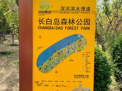 -长白岛森林公园