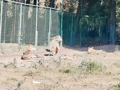 -鄂尔多斯野生动物园