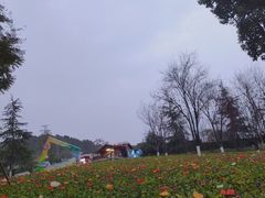 -铁山坪森林公园