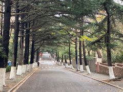 -八大关景区