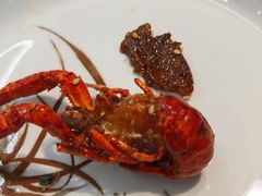 -乡土黄·鲜牛肉火锅·小龙虾(兴业街店)