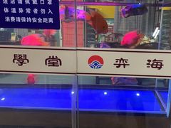 -弈海围棋学堂(夕照寺校区)