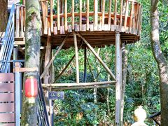 -天门沟九州驿站树上汤泉