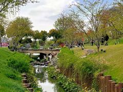 -羊山湖公园