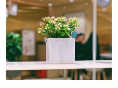 -奈雪的茶(新天地广场PRO店)