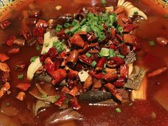 -院8里·小聚园老川菜(九眼桥店)