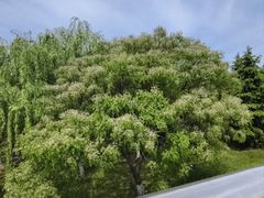 -宁波鄞州万达广场