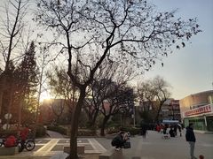 -双榆树公园