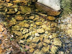 -洛阳花果山景区