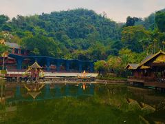 -西双版纳原始森林公园