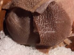 -湊湊火锅·茶憩(皇姑万象汇店)