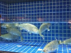 -徐记海鲜(梅溪新天地店)
