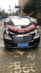 -蚂蚁婚车