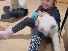 -1013 PET SHOP精品宠物商店(丁香店)