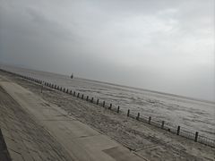 -观潮胜地公园