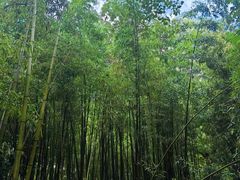 -四门塔风景区