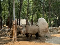 -北京野生动物园