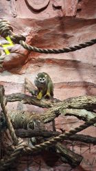 -Zoolung Zoolung动物主题公园(海信广场店)