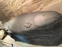 -白鹤梁水下博物馆