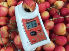 -上海龙吴水胜海发市场