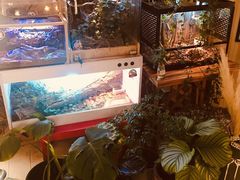 -Rabbit Cafe私房西餐甜点咖啡(栖霞路店)