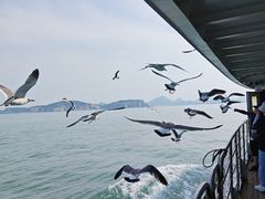 -海驴岛(荣成市)