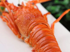 android_upload_pic-潮锅(西村财富公馆店)