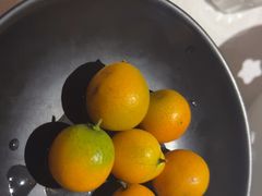 -旺顺阁·北京菜·烤鸭(魏公村店)