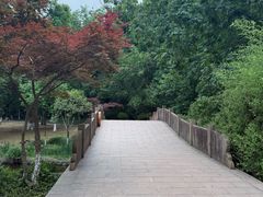-采石矶景区