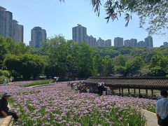 -龙头寺公园