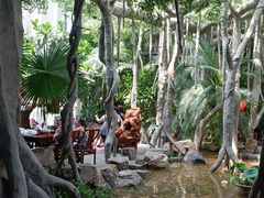 -东方华地城湿地温泉度假区