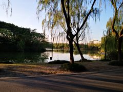 -东华大学(松江校区)