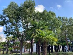 -太阳岛度假酒店