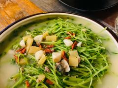 上汤豆苗-春风十里烧烤音乐吧(实力乐队驻唱三元里店)