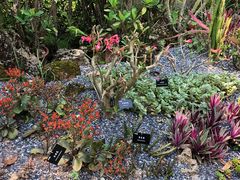 -中国科学院西双版纳热带植物园