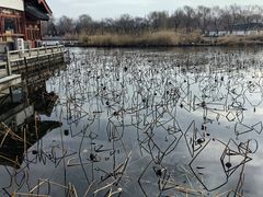 -济南大明湖景区