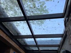 -VOYAGE COFFEE(北锣鼓巷店)