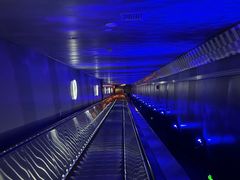 -白鹤梁水下博物馆
