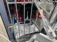 -贝康宠物医院·犬猫全科·小动物特色诊疗中心(东环路店)
